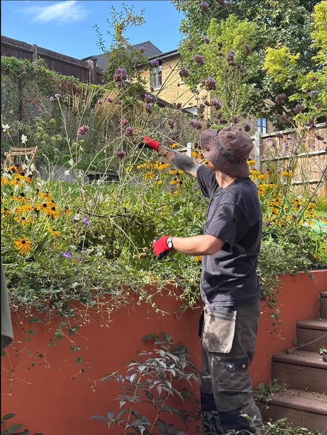Seasonal care in a planted garden with terracotta rendered walls
