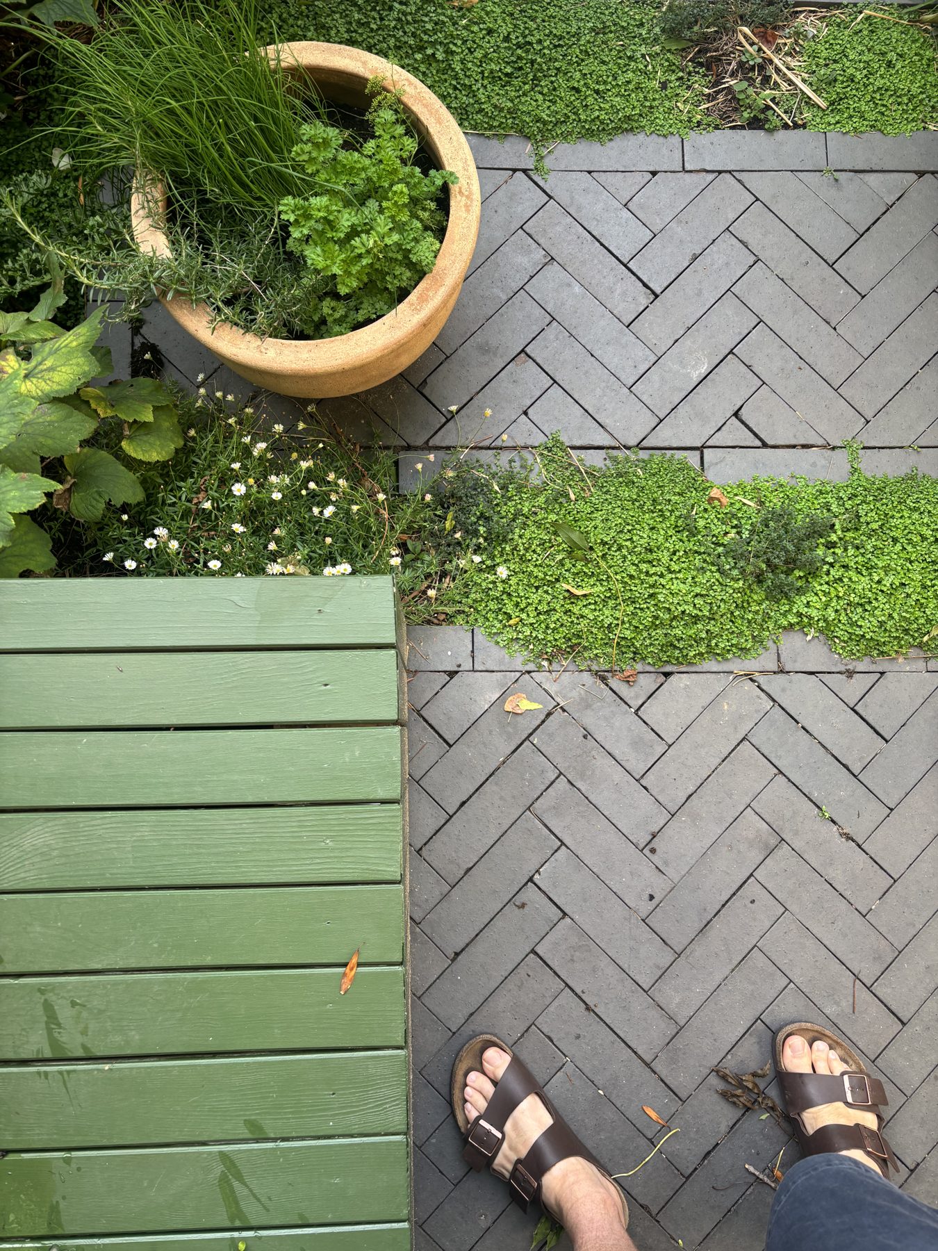 Potted herbs over herringbone brick and a green painted deck